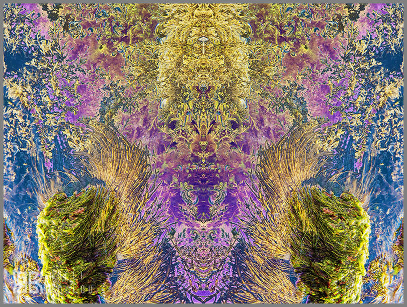 � Kalli Bellou / www.kallibellou.com